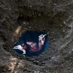 sottobosco-3