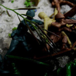IMG_0182_lr