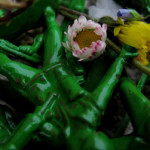 IMG_0189_lr