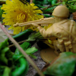 IMG_0190_lr