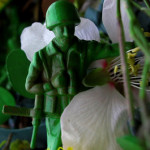 IMG_0193_1lt