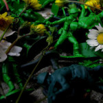 IMG_0196_lr