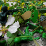 IMG_0199_lr