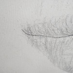 annachiara-5.1